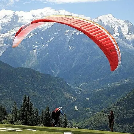 Super Cocooning Vu Mont Blanc Lejlighed